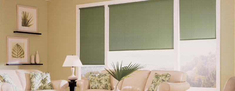 Galleries/Roller Shades Custom Window Treatments Huntington Woods